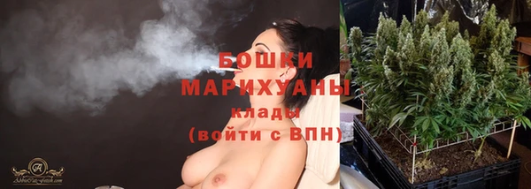 хмурый Горняк