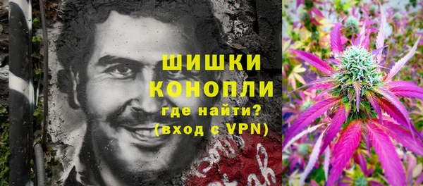 хмурый Горняк