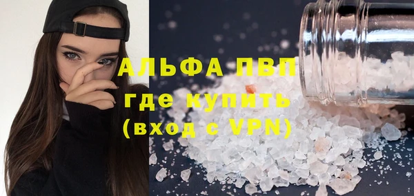 СК Вязьма