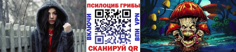 Купить закладки  Белёв  Галлюциногенные грибы Cubensis 