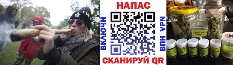 Купить закладки  Белёв  Конопля Amnesia 